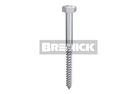 Coach Screws Bremick